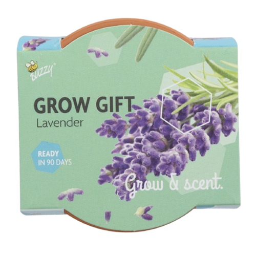 Grow a gift - Lavendel 