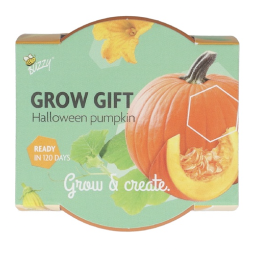 Grow a gift - Halloween pompoen 