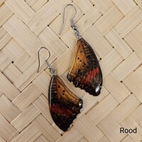 (Echte) vlinder oorbellen - Leopard lacewing - (Diverse kleuren)