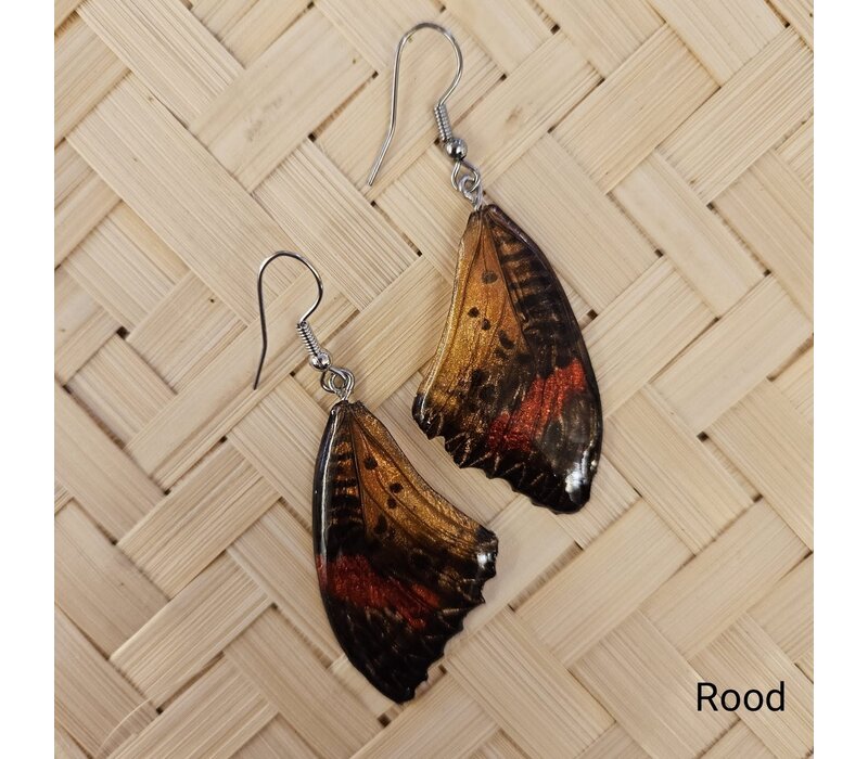 (Echte) vlinder oorbellen - Leopard lacewing - (Diverse kleuren)