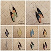 Hello miracle (Echte) vlinder oorbellen - Fairy wing  - (Diverse kleuren)
