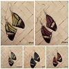 (Echte) vlinder oorbellen - Glitter butterfly - (Diverse kleuren)
