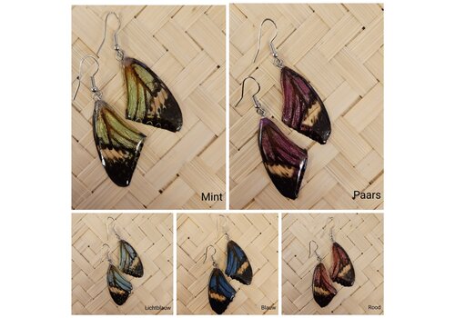 Hello miracle (Echte) vlinder oorbellen - Glitter butterfly - (Diverse kleuren)
