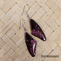 (Echte) vlinder oorbellen - Shine Butterfly - (Diverse kleuren)