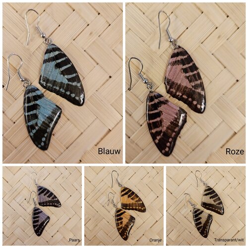 (Echte) vlinder oorbellen - Beauty Butterfly - (Diverse kleuren) 