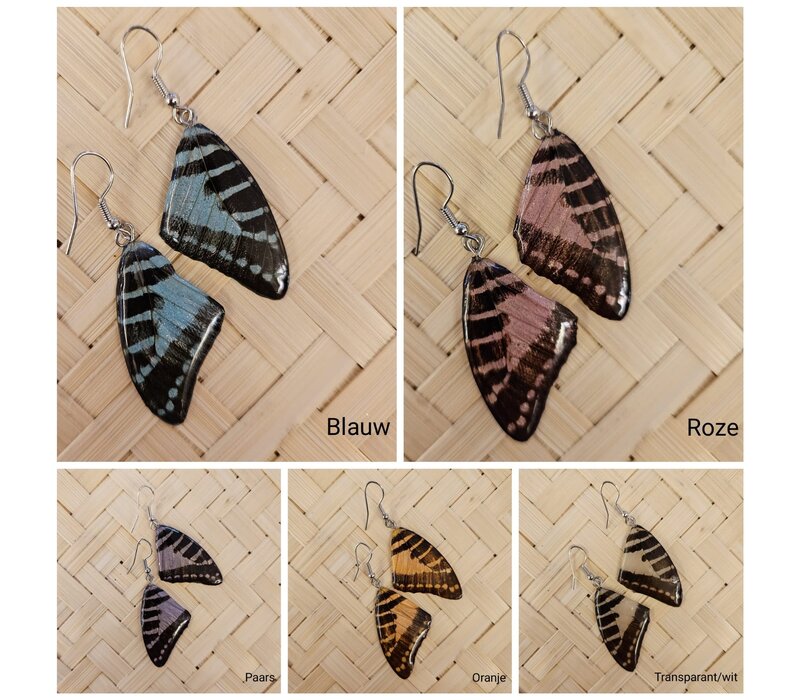 (Echte) vlinder oorbellen - Beauty Butterfly - (Diverse kleuren)