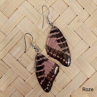 (Echte) vlinder oorbellen - Beauty Butterfly - (Diverse kleuren)