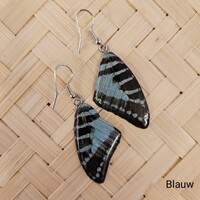 (Echte) vlinder oorbellen - Beauty Butterfly - (Diverse kleuren)