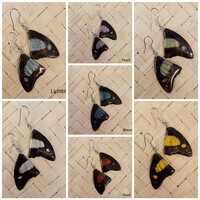 (Echte) vlinder oorbellen - Beautiful eye butterfly - (Diverse kleuren)
