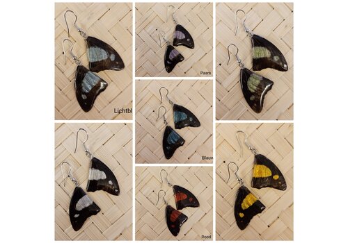 Hello miracle (Echte) vlinder oorbellen - Beautiful eye butterfly - (Diverse kleuren)