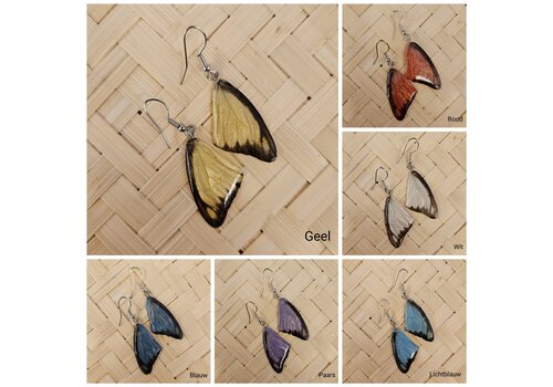 Hello miracle (Echte) vlinder oorbellen - Chocolate albatross  - (Diverse kleuren)