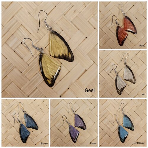 (Echte) vlinder oorbellen - Chocolate albatross  - (Diverse kleuren) 