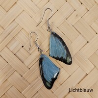 (Echte) vlinder oorbellen - Chocolate albatross  - (Diverse kleuren)