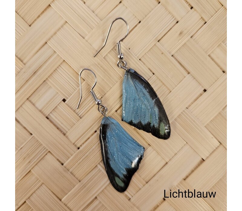 (Echte) vlinder oorbellen - Chocolate albatross  - (Diverse kleuren)