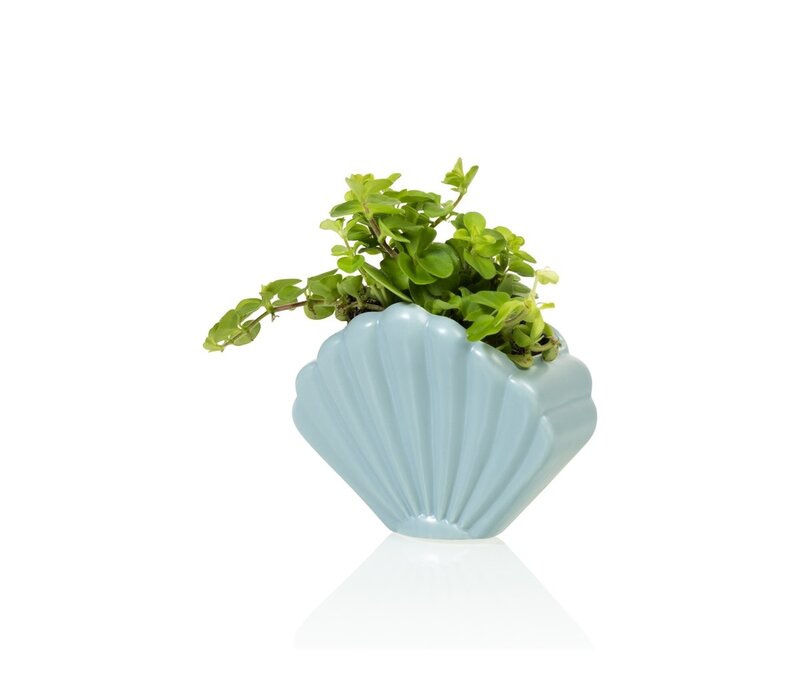Bitten- Shell Planter Small - Blue