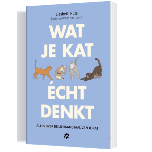 Wat je kat echt denkt - Alles over de lichaamstaal van je kat 