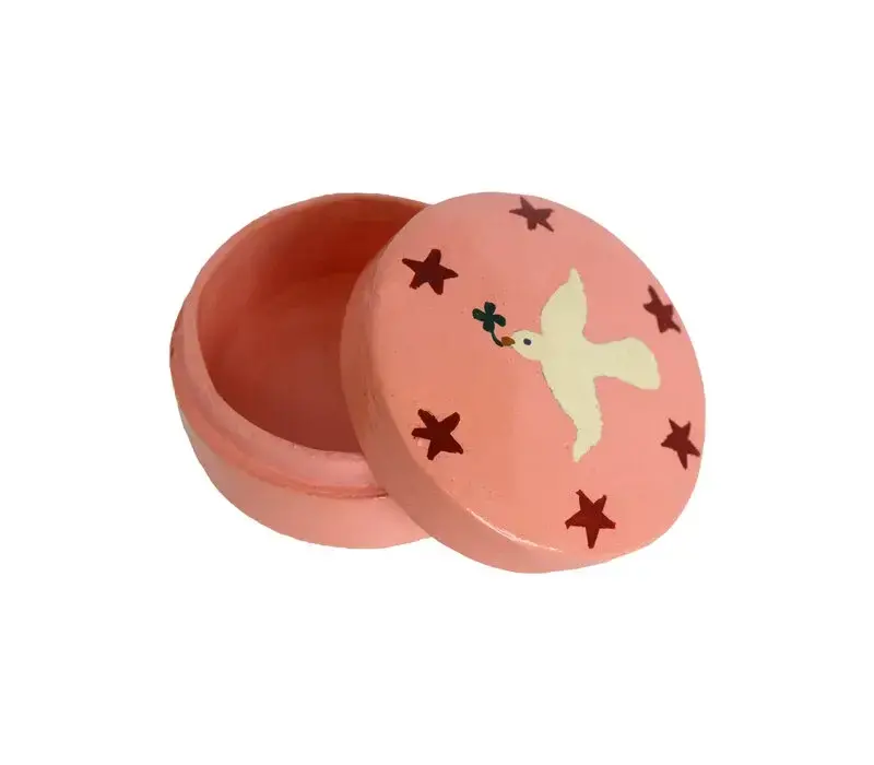 All the Luck in the World - Medium Doosje Roze met Witte Duif