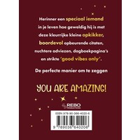 Rebo - You are amazing