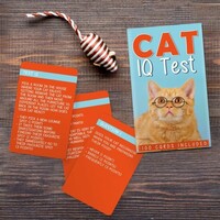 Gift Republic Kaartenset - Cat IQ Test