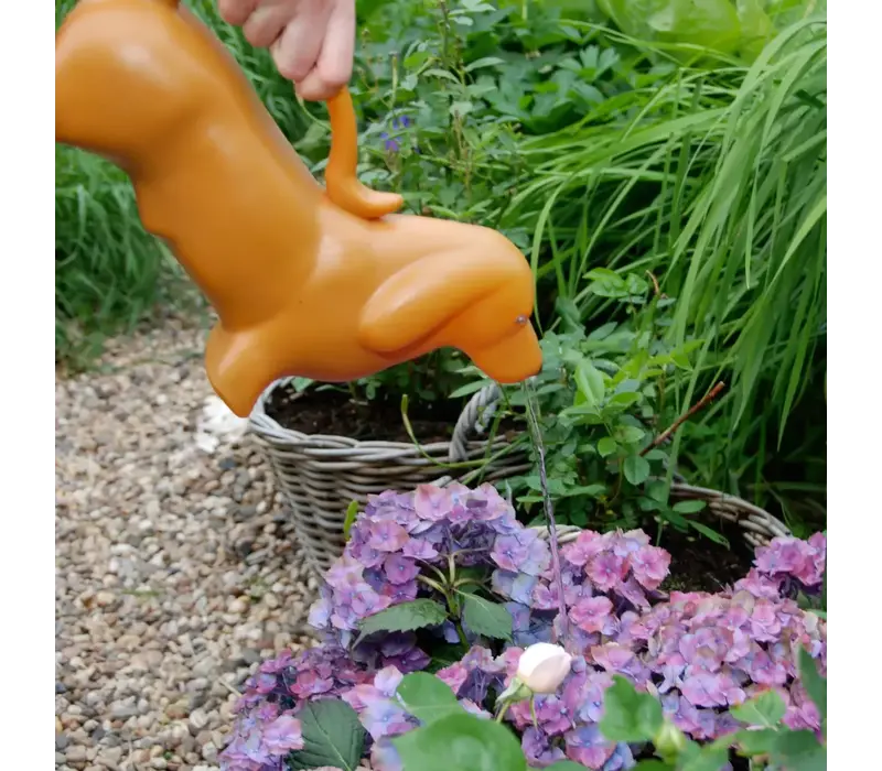 Esschert Design - Gieter - Teckel