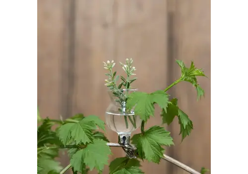 Esschert Design Bloemen clip vaasje