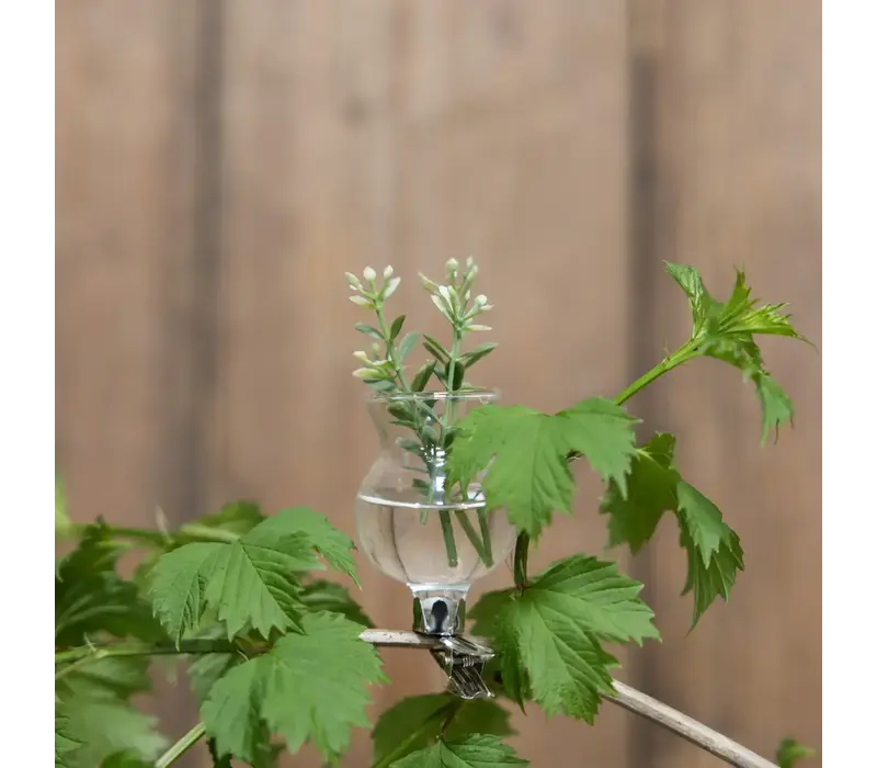 Bloemen clip vaasje