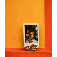 Doing Goods  Zoey Card Holder