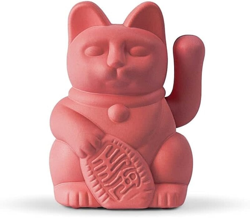 Donkey lucky cat  Solar