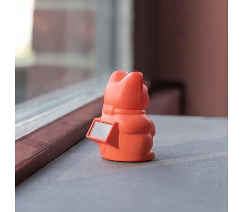 Donkey lucky cat  Solar