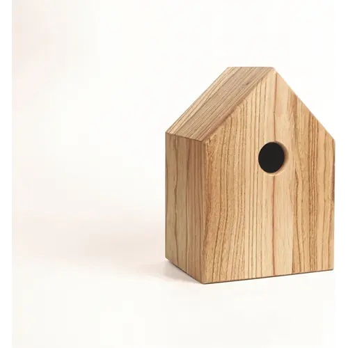 Singing Friend - Hello Jan - Nest kast 