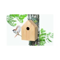 Singing Friend - Hello Jan - Nest kast