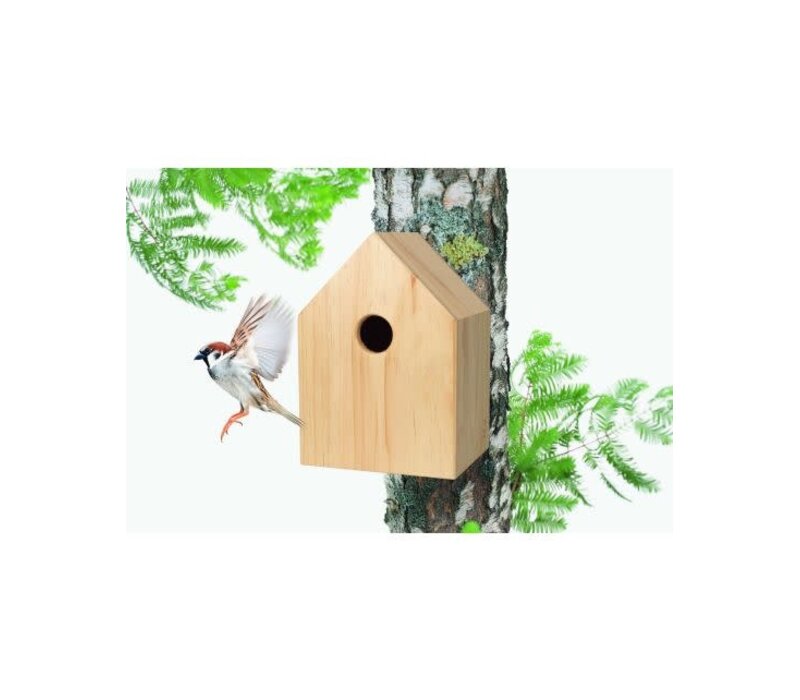 Singing Friend - Hello Jan - Nest kast