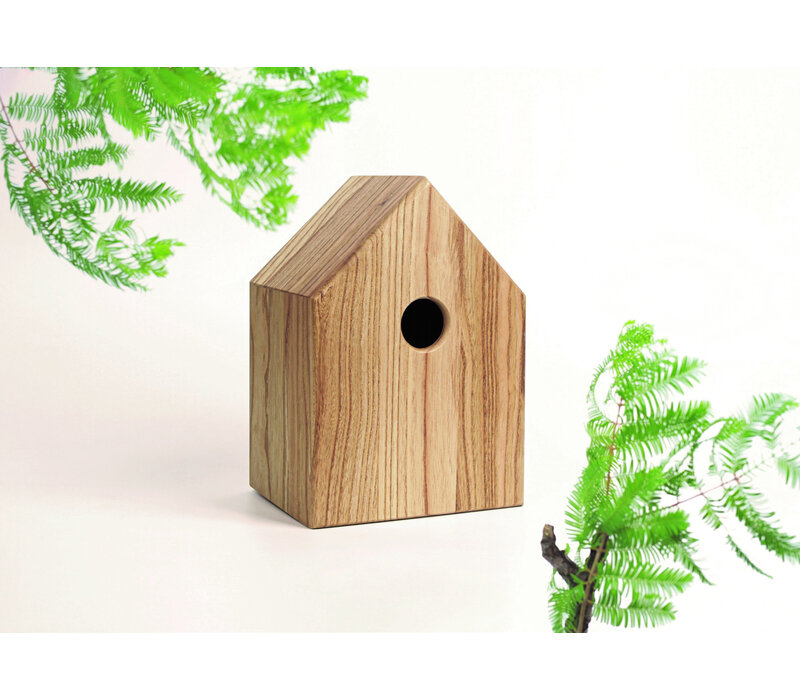 Singing Friend - Hello Jan - Nest kast