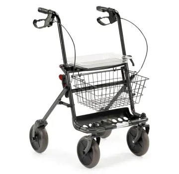 Motion Mobility Rent a Basic 4 wheel walker