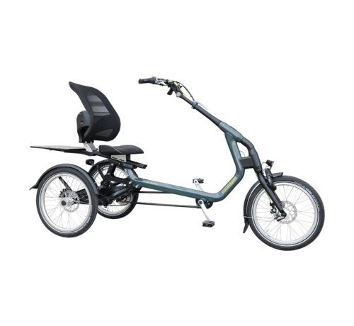 van Raam Van Raam Easy Rider driewielfiets