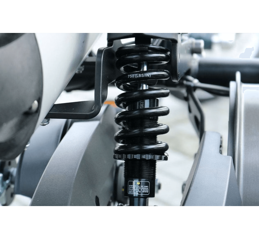 Van RaamEasy Rider driewielfiets