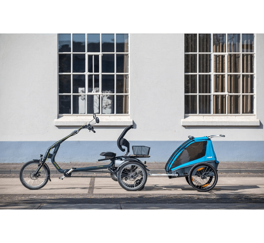 Van RaamEasy Rider driewielfiets