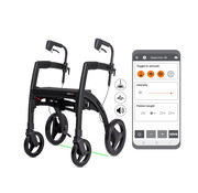 Rollz Rollz Motion Rhythm