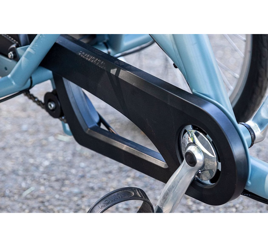 Van Raam Maxi driewielfiets