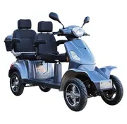 Duo Scootmobiel huren