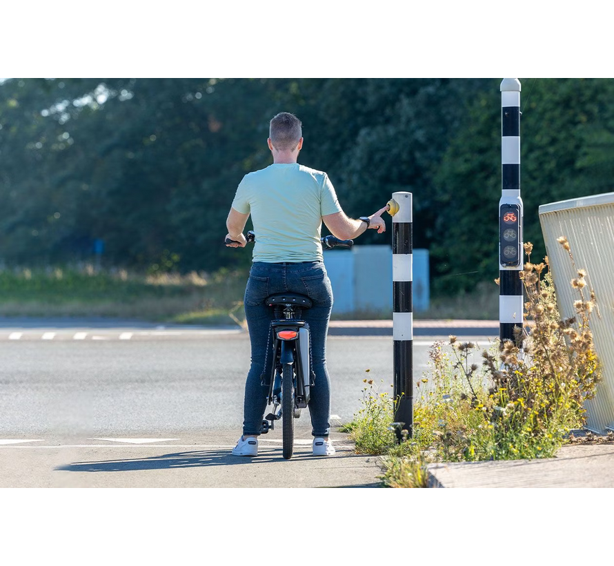 van Raam Balance lage instap fiets - elektrische ondersteuning en 410Wh Accu en lader DEMO