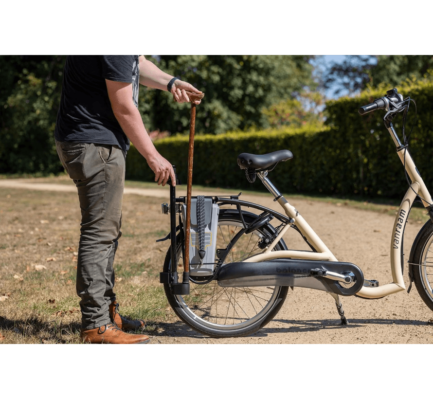 van Raam Balance lage instap fiets - elektrische ondersteuning en 410Wh Accu en lader DEMO