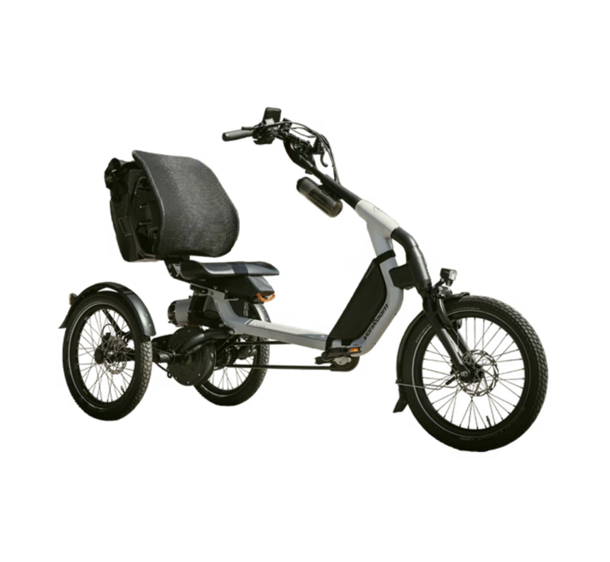 Van Raam Easy rider Explore (Limited Edition)