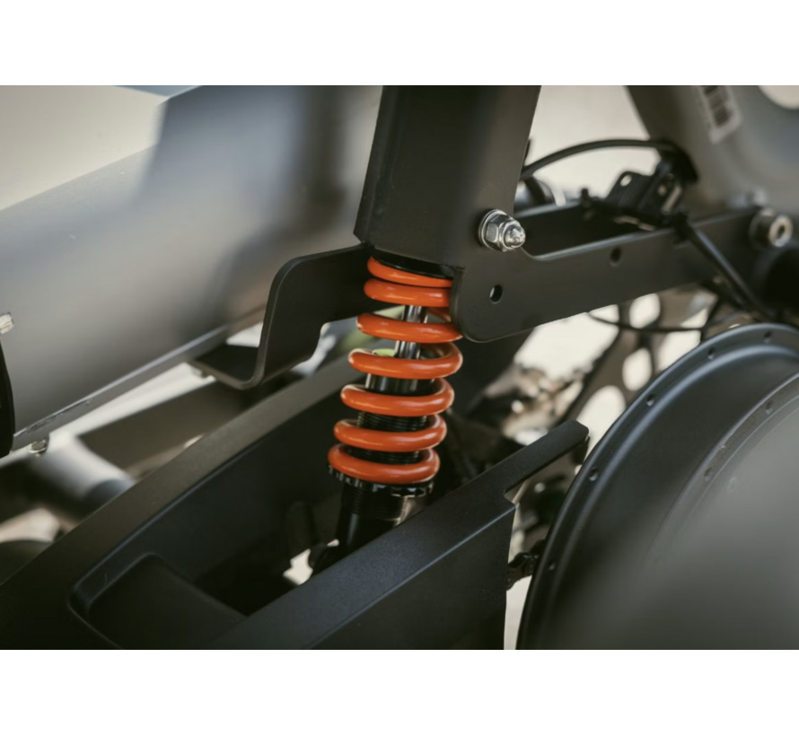 Van Raam Easy rider Explore (Limited Edition)