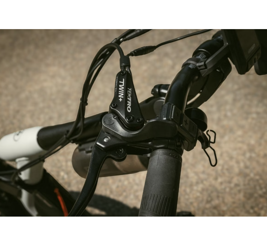 Van Raam Easy rider Explore (Limited Edition)