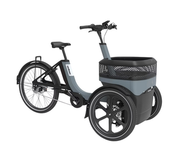 van Raam Van Raam Thuja