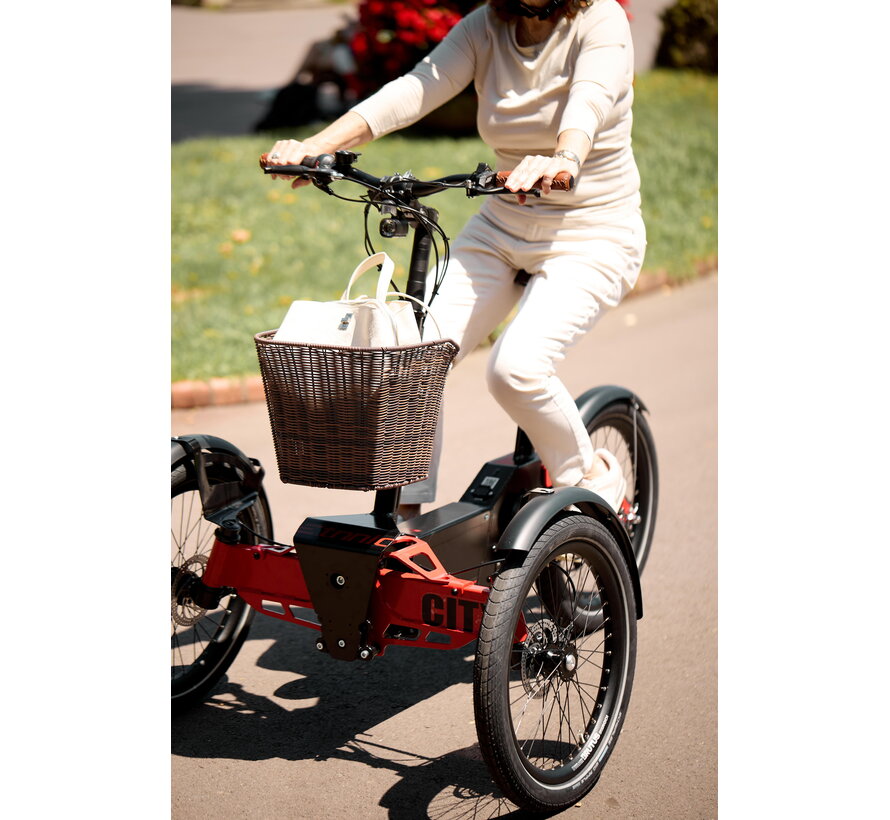 ETNNIC Fold 3.0 - Opvouwbare driewielfiets