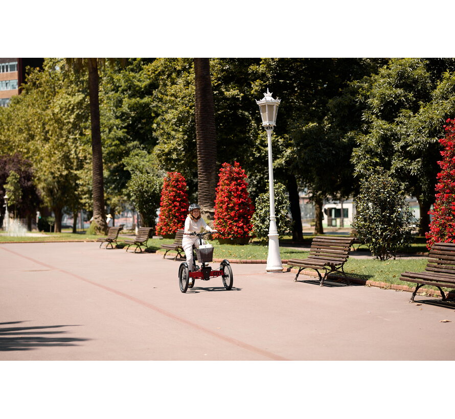 ETNNIC Fold 3.0 - Opvouwbare driewielfiets