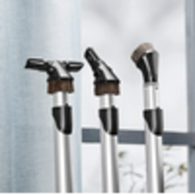 AEG stofzuiger met zak VX8-2-6IW