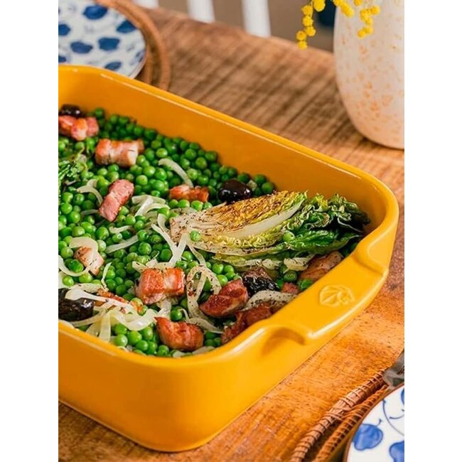 Peugeot Appolia schotel rechthoekig - safraan geel